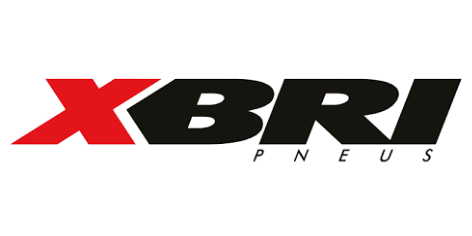 XBRI